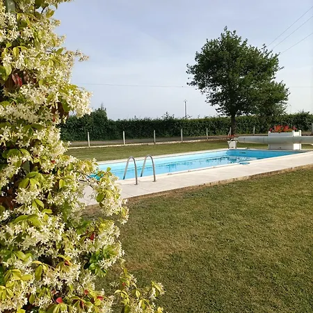 Les Volets Verts