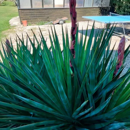 Les Volets Verts Saint-Antonin