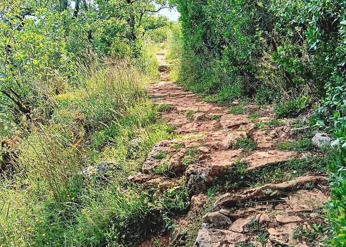Les Volets Verts Saint-Antonin